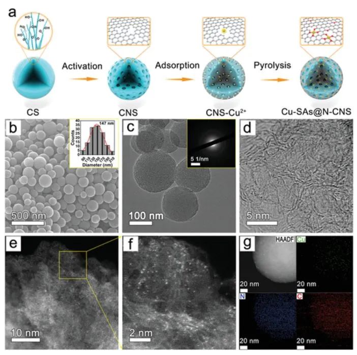 AFM：單個銅原子錨定到微孔碳球作為高性能ORR電催化劑