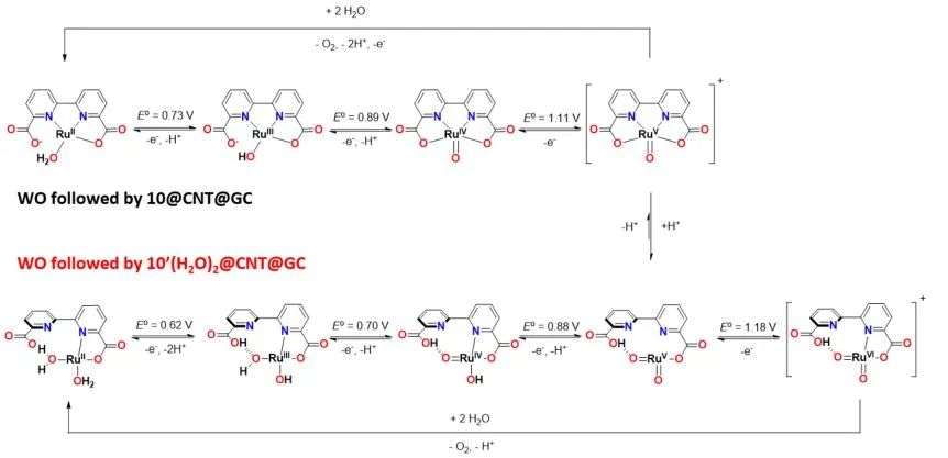 JACS: Ru-bda配位低聚物表面相互作用促進(jìn)提高了水氧化陽極的效率