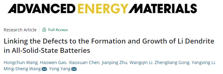 楊勇/王鳴生AEM：揭示全固態(tài)電池中缺陷與鋰枝晶形成和生長(zhǎng)的聯(lián)系