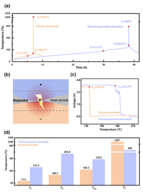 張強(qiáng)/程新兵AM：用于安全鋰金屬電池的熱響應(yīng)電解質(zhì)