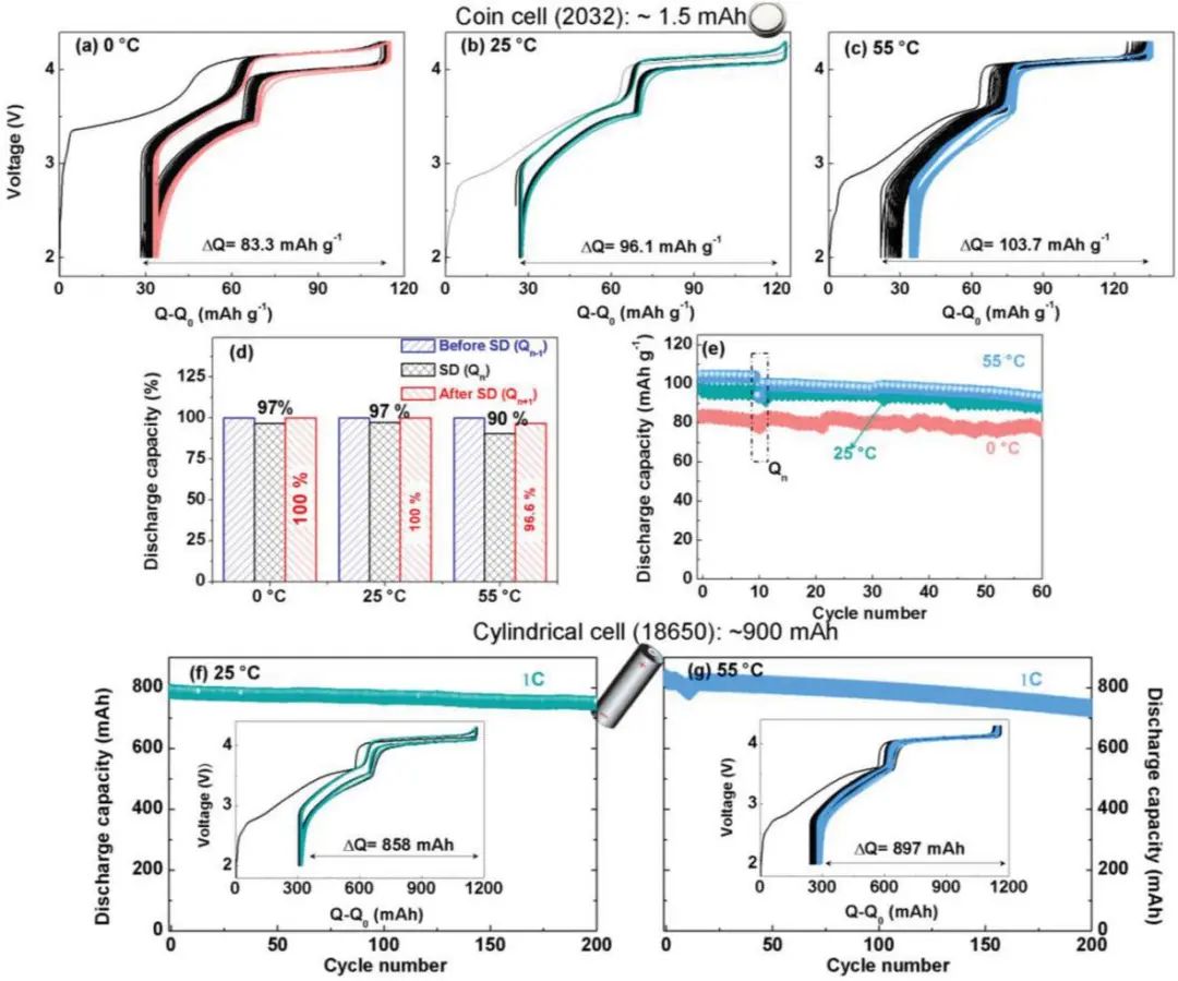 電池頂刊集錦：EES、AEM、AFM、Adv. Sci.、EnSM、Small等最新成果