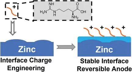 電池頂刊集錦：EES、AEM、AFM、Adv. Sci.、EnSM、Small等最新成果