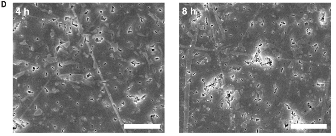 黃勁松最新Science！界面！界面！界面！