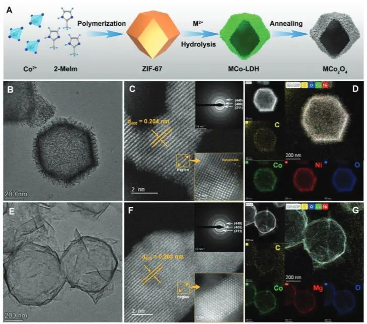 催化頂刊集錦：JACS、EES、Angew.、Chem、AFM、ACS Nano、ACS Catal.等成果