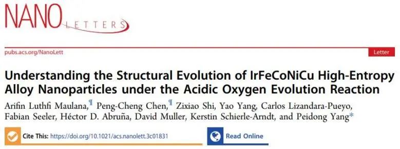 催化頂刊集錦：JACS、EES、Angew.、Chem、AFM、ACS Nano、ACS Catal.等成果