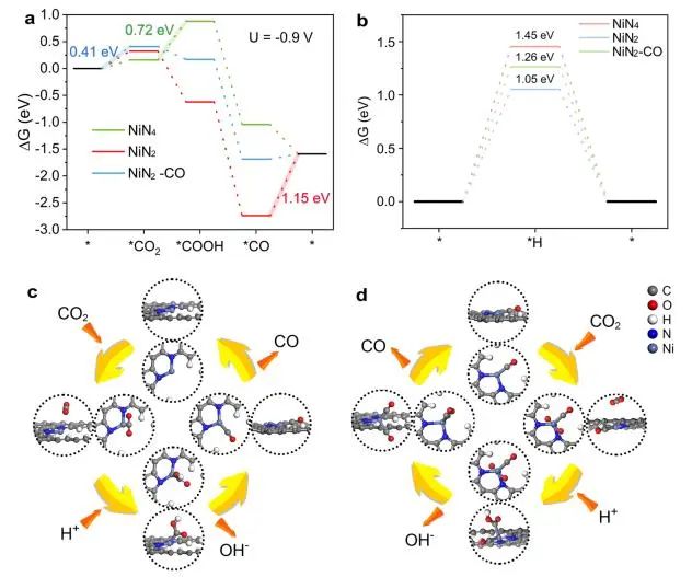 催化頂刊集錦：Nature子刊、JACS、ACS Nano、ACS Energy Lett.、AFM、NML等成果