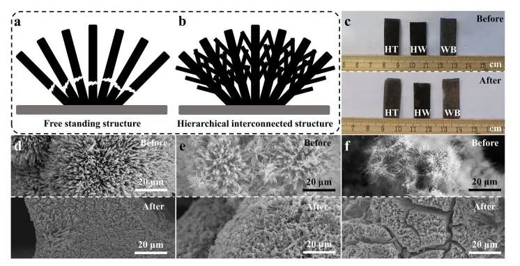 催化頂刊集錦：Nature子刊、JACS、ACS Nano、ACS Energy Lett.、AFM、NML等成果