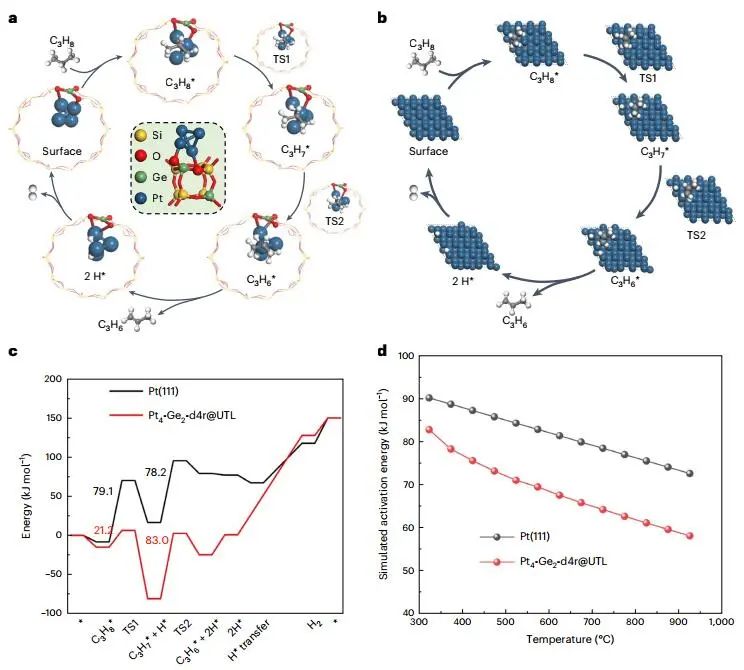 四校聯(lián)合重磅Nature Catalysis：Pt@Ge-UTL高效催化丙烷脫氫！