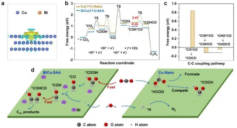 催化頂刊集錦：JACS、Angew.、ACS Catal.、Nano Energy、Nano Lett.等成果