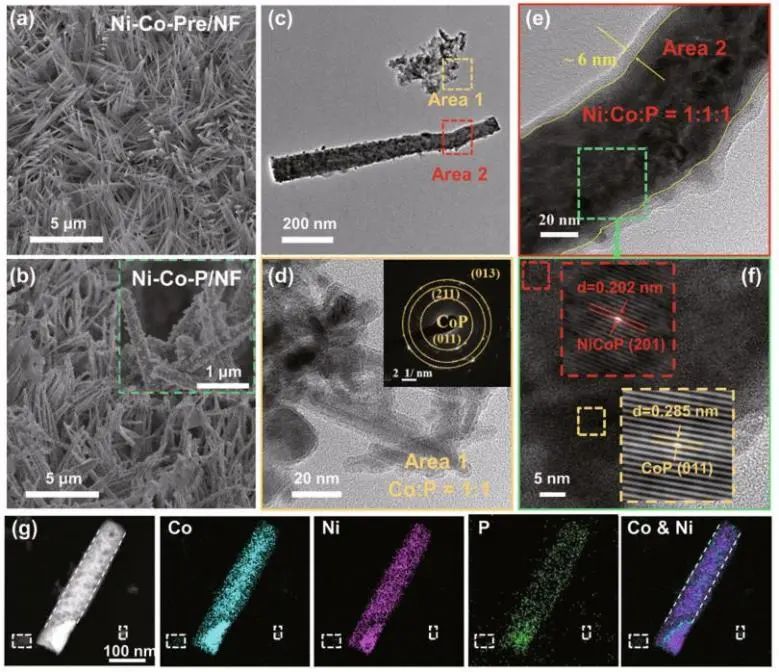 催化頂刊集錦：Nature子刊、Angew.、AEM、ACS Catalysis、Small等成果