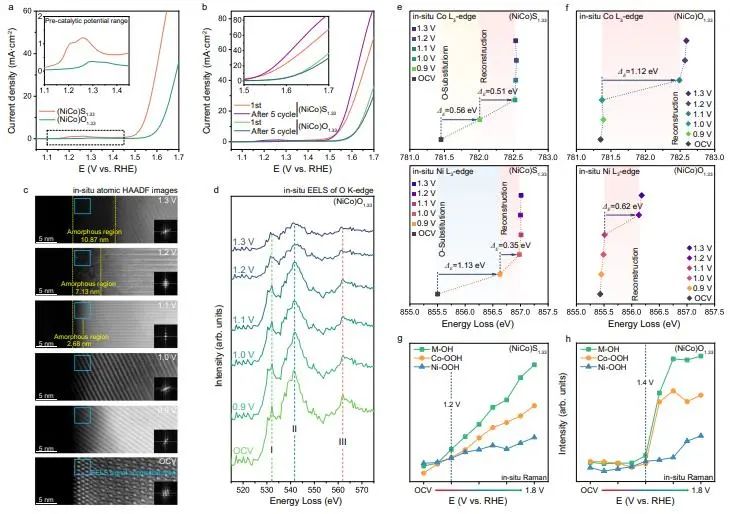 催化頂刊集錦：Nature子刊、Angew.、AEM、ACS Catalysis、Small等成果