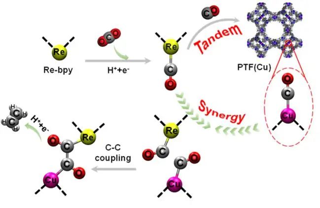 JACS：Re-bpy/PTF(Cu)協(xié)同催化CO2制備C2H4