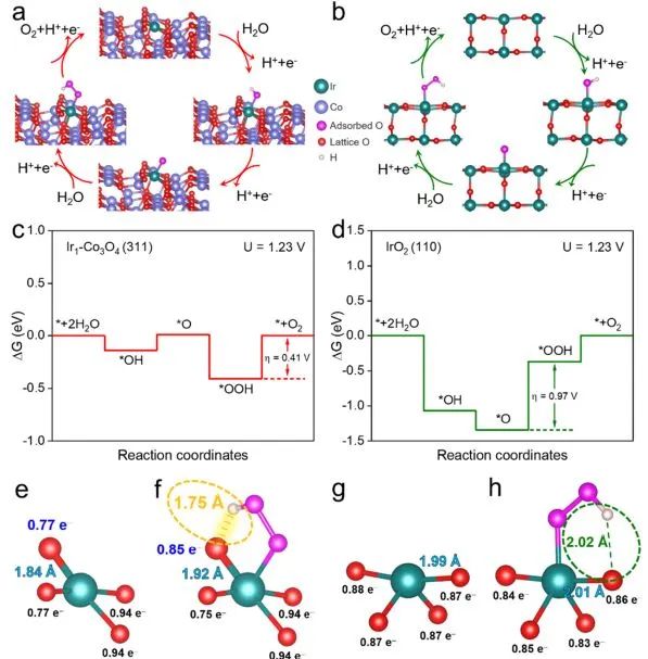 ?中科大ACS Catalysis：尖晶石錨定的Ir單原子通過中間穩(wěn)定化效應(yīng)實現(xiàn)高效酸性水氧化