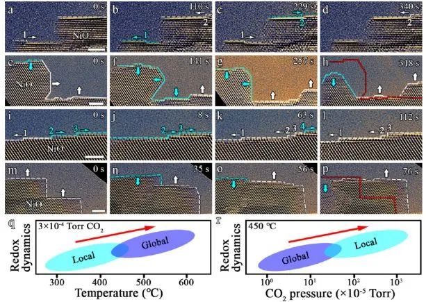 催化頂刊集錦：Nature、JACS、EES、ACS Catal.、ACS Nano、Small等成果精選！