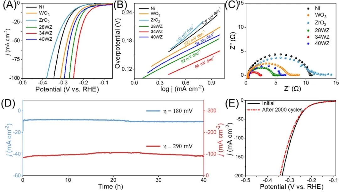 催化頂刊集錦：JACS、ACS Catalysis、Small、JMCA、CEJ、Angew、Carbon Energy等成果