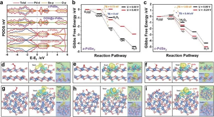 6篇Nature/Science子刊、4篇AM、3篇EES、3篇AFM等，黃小青團(tuán)隊(duì)2022年成果精選！