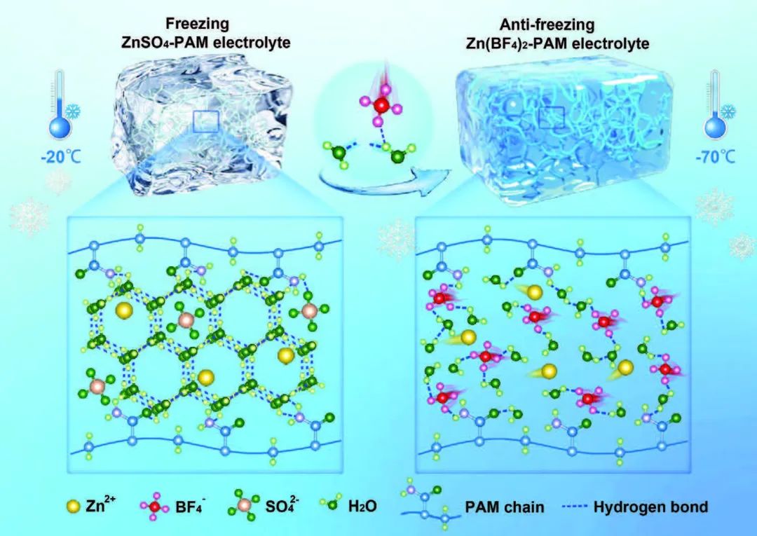 牛志強(qiáng)/劉麗麗AFM：耐-70℃的抗凍水凝膠電解質(zhì)！