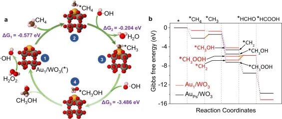 8篇催化頂刊：JACS、ACS Catal.、Nano Energy、JMCA、Chem. Eng. J.等成果