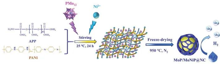 長春理工蘇忠民/李曉Chem. Eng. J.：新磷源！聚磷酸銨誘導(dǎo)的MoP/MoNiP@NC用于高效電催化HER