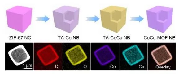 樓雄文Angew.：CoCu-MOF NBs實(shí)現(xiàn)高效電化學(xué)OER