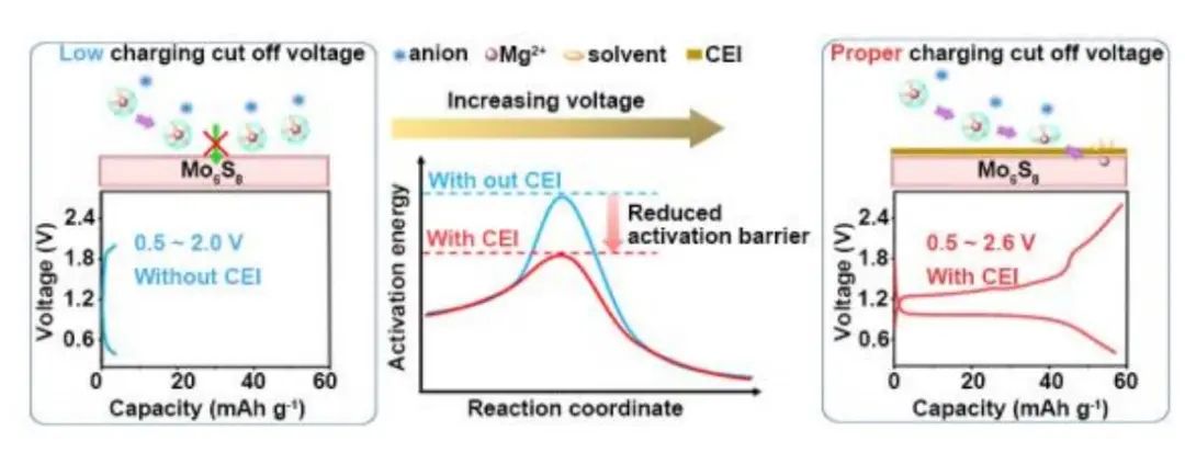 ?崔光磊Angew.：正極電解質(zhì)中間相 (CEI) 使 Mo6S8 具有快速界面鎂離子轉(zhuǎn)移動(dòng)力學(xué)