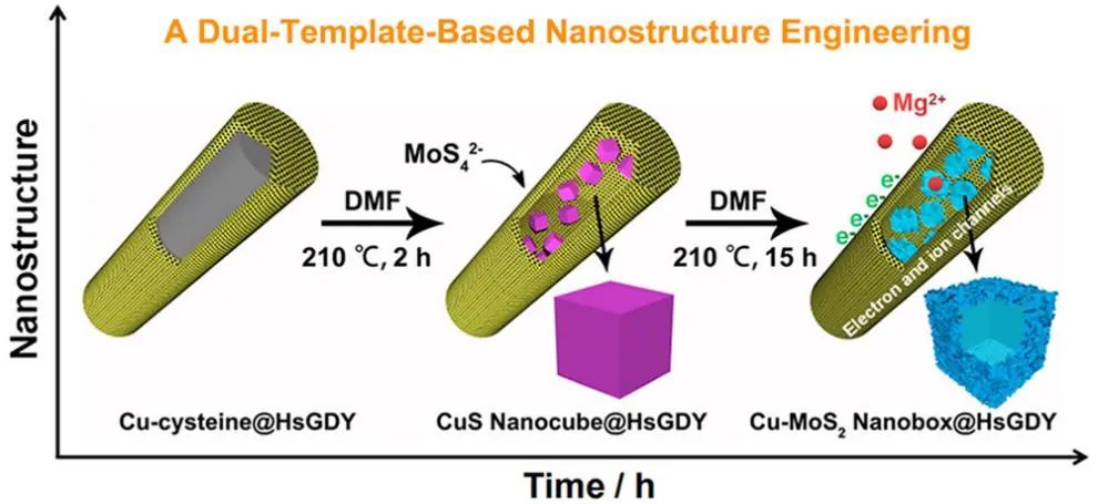 ACS Nano: 用于鎂存儲的分層納米膠囊正極