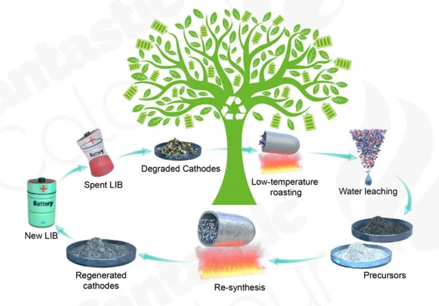 周光敏/梁正EnSM：將廢舊LiCoO2直接綠色轉(zhuǎn)化為高性能LiCoO2正極