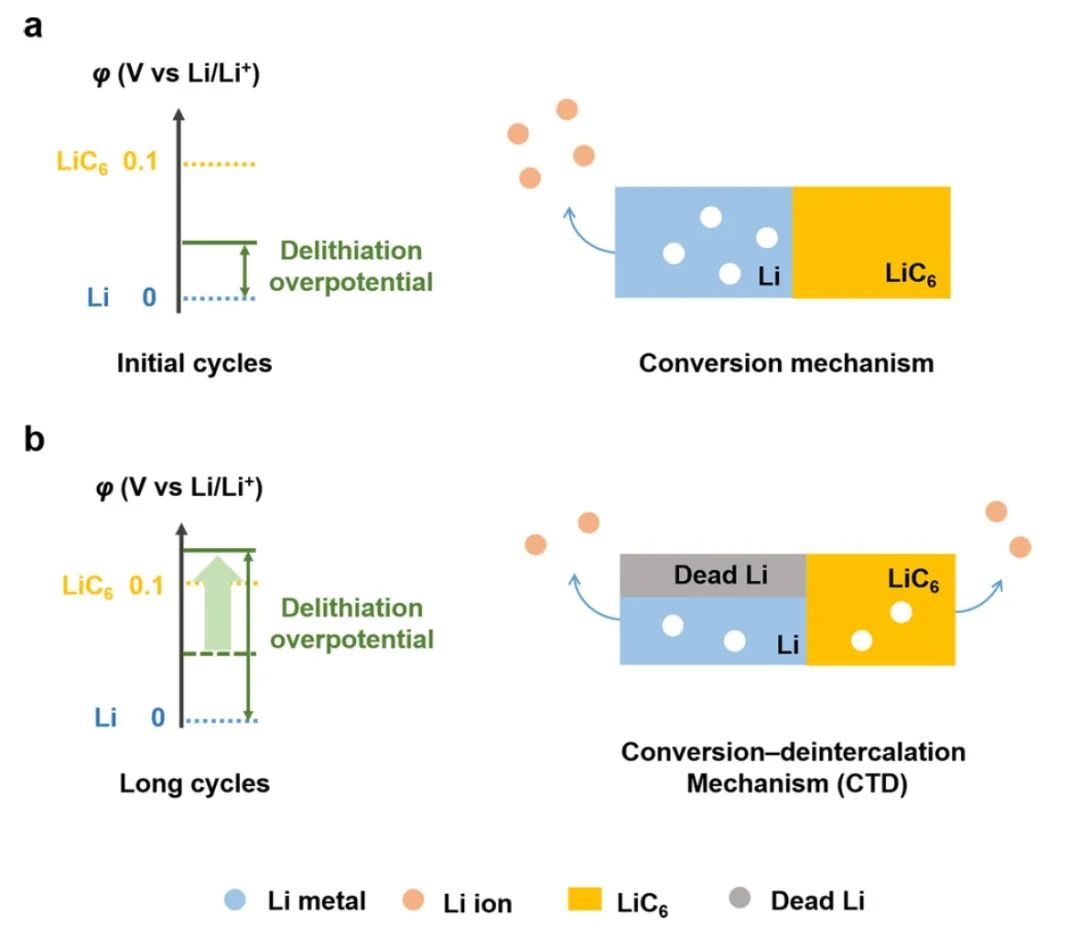 清華張強(qiáng)/北理張學(xué)強(qiáng)JACS：實(shí)用復(fù)合鋰負(fù)極的連續(xù)轉(zhuǎn)化-脫嵌脫鋰機(jī)制