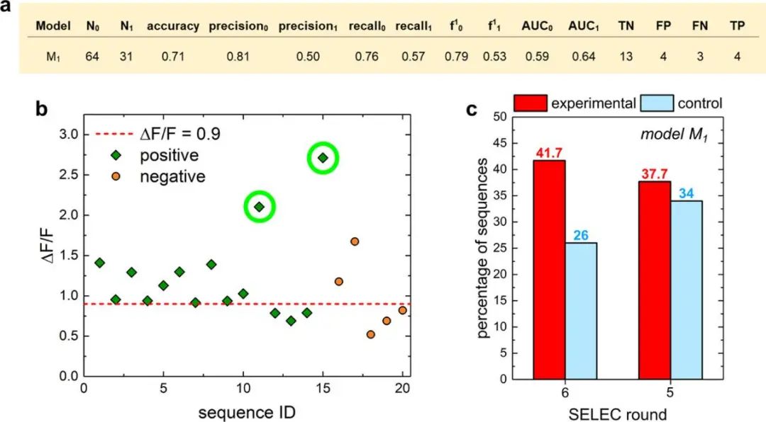 ACS Nano: 機器學(xué)習(xí)+近紅外熒光光譜發(fā)現(xiàn)新型DNA-碳納米管傳感器