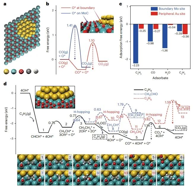 ?鄧德會/于良Nature Catalysis：H2O作氫源，實現(xiàn)低溫下Au/α-MoC催化乙炔加氫制乙烯