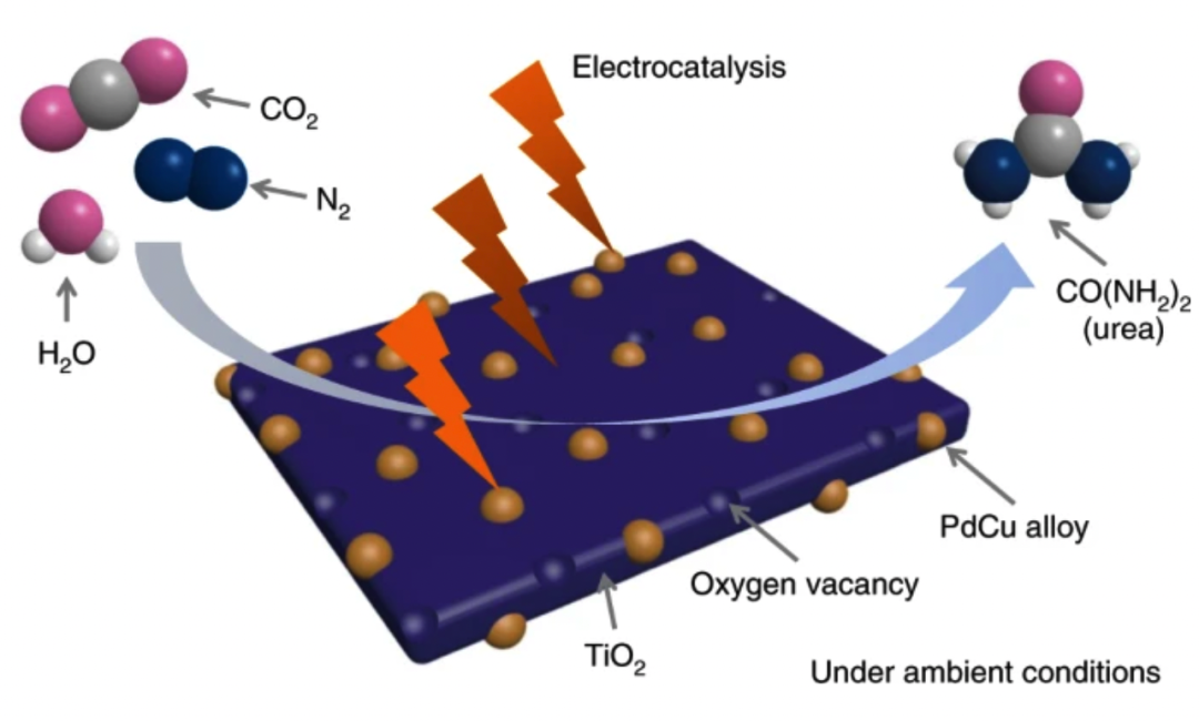 四個(gè)團(tuán)隊(duì)精誠合作！Nature Sustainability：電合成尿素大突破，新方法實(shí)現(xiàn)高產(chǎn)量！