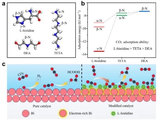 ?邵敏華/張玉Angew：L-組氨酸強(qiáng)化局部CO2吸附，增強(qiáng)CO2電還原為甲酸鹽的選擇性