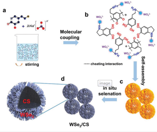唐永炳/楊景海Small Methods：WSe2/碳微納分級結(jié)構(gòu)的分子偶聯(lián)和自組裝提高鈉離子存儲
