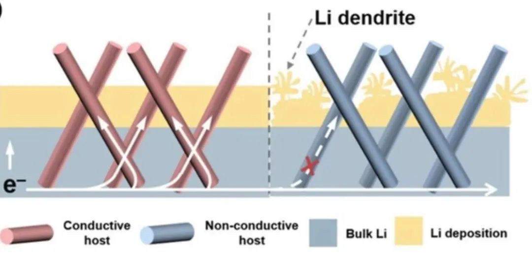 北理黃佳琦AEM: 解讀主體材料電導(dǎo)率對復(fù)合鋰金屬負(fù)極鋰沉積的影響