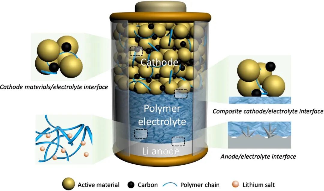 北工大尉海軍/郭現(xiàn)偉Mater. Today：固態(tài)鋰金屬電池中的聚合物電解質(zhì)和界面