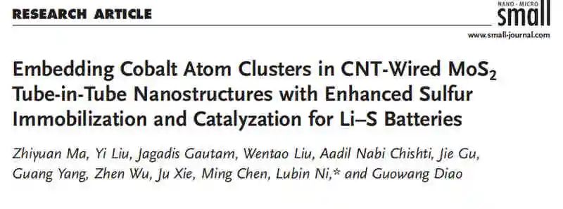 揚(yáng)大倪魯彬Small：碳納米管MoS2包埋鈷原子團(tuán)簇對(duì)鋰硫電池的固硫催化作用