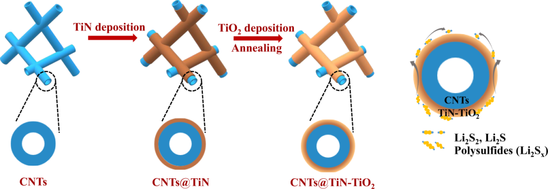 Nat. Commun.：基于同軸CNTs@TiN-TiO2海綿的長壽命高面積容量鋰硫電池