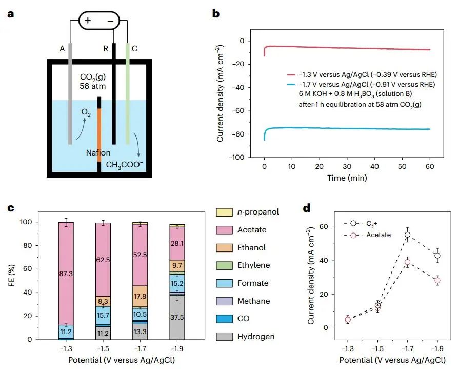 戴宏杰院士，最新Nature Catalysis！