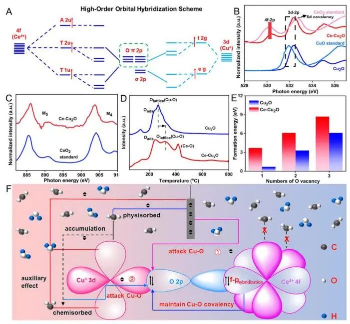 催化頂刊集錦：JACS、EES、Angew.、Chem、AFM、ACS Nano、ACS Catal.等成果