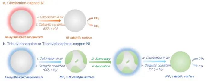 催化頂刊集錦：Nature子刊、JACS、ACS Nano、ACS Energy Lett.、AFM、NML等成果