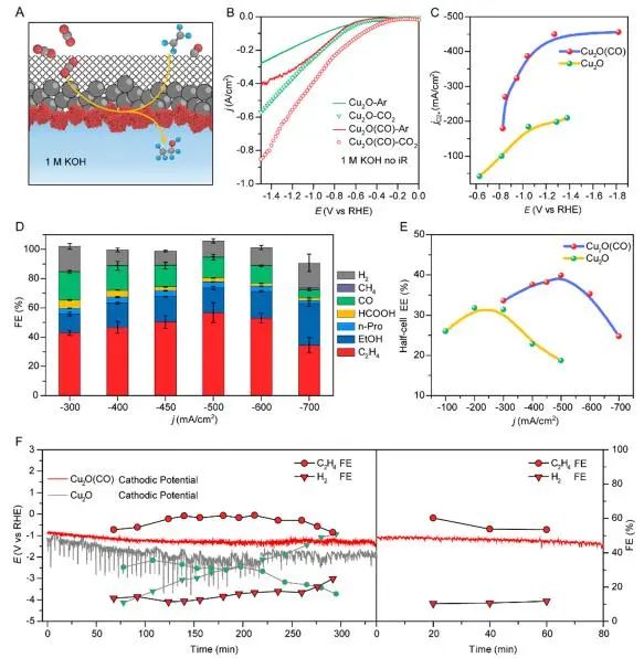 催化頂刊集錦：Nature子刊、JACS、ACS Nano、ACS Energy Lett.、AFM、NML等成果