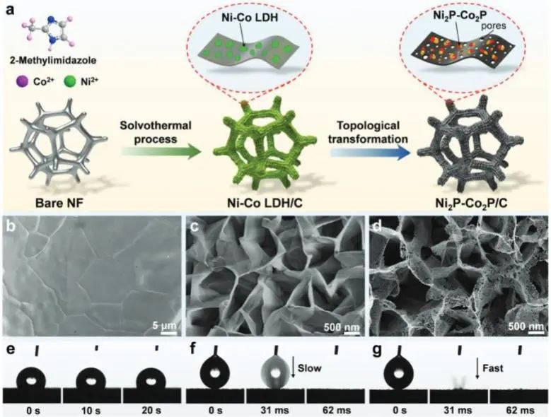 催化頂刊集錦：Nature子刊、JACS、ACS Nano、ACS Energy Lett.、AFM、NML等成果