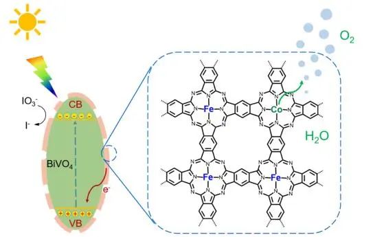 李斐課題組ACS Catalysis：雜金屬多酞菁修飾BiVO4表面，實(shí)現(xiàn)高效光催化水氧化