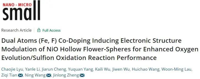 鄭金龍/王寧/田子奇Small：Fe，F共摻雜調控NiO電子結構，增強氧析出/硫氧化反應性能