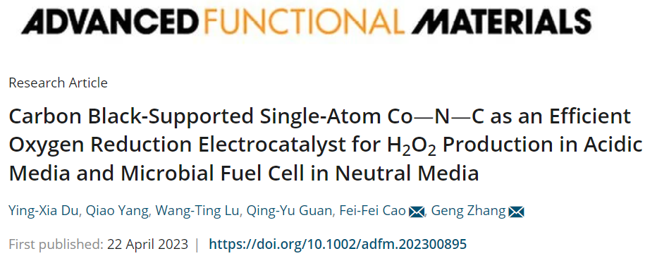 張耕/曹菲菲AFM：CB@Co-N-C助力H2O2合成和微生物燃料電池