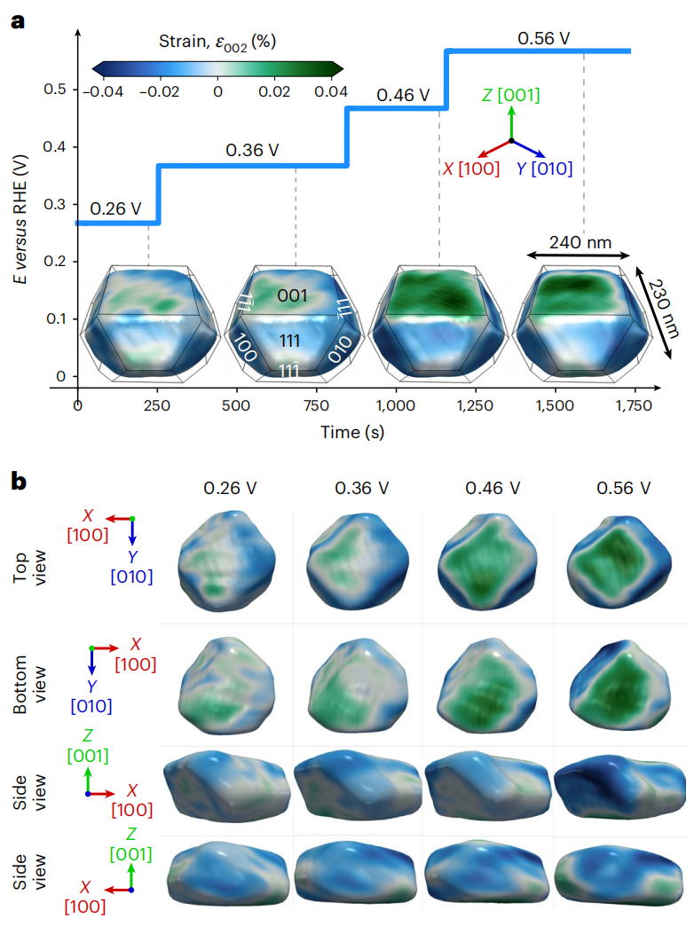 重磅！最新Nature Materials：實現(xiàn)單個鉑催化劑納米顆粒內(nèi)的應變測量