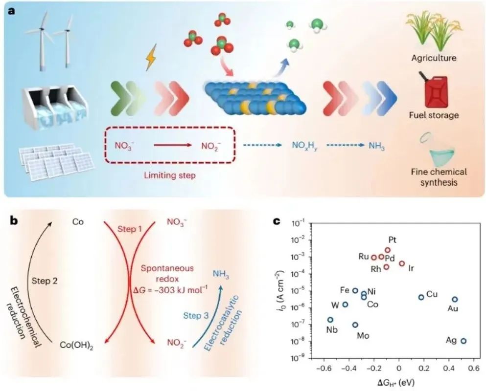 天津大學(xué)于一夫/張兵團隊，最新Nature Catalysis！