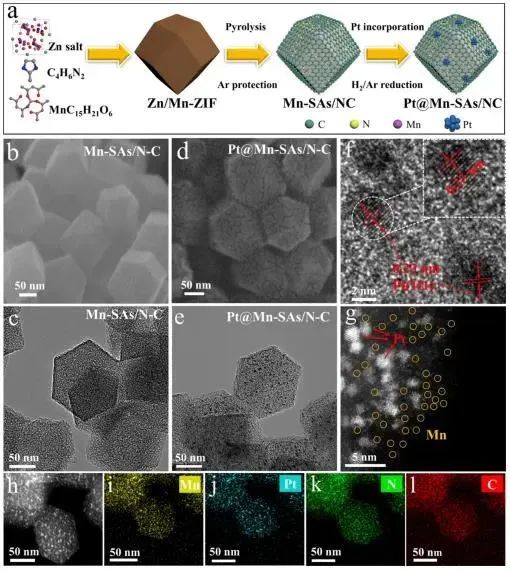 催化頂刊集錦：Nature子刊.、Angew.、JACS、ACS Catalysis、AFM、Small等成果