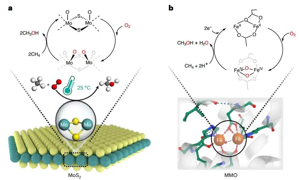 中科院大連化物所鄧德會(huì)/于良Nature Catalysis：甲烷與O2在室溫下直接轉(zhuǎn)化