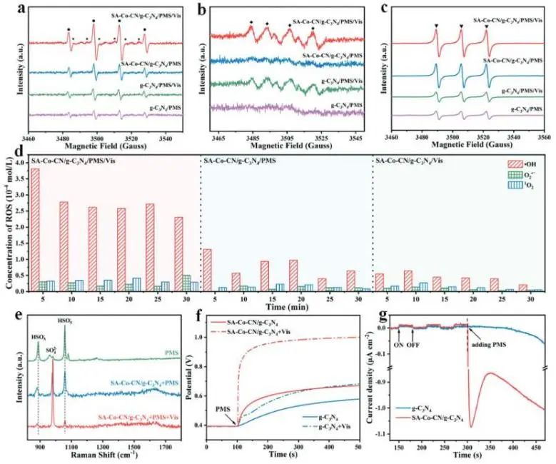 催化頂刊集錦：Nature子刊、AM、AFM、ACS Catalysis、Carbon Energy、Small等